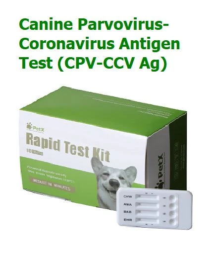 Tes Antigen Virus Corona Canine Parvovirus